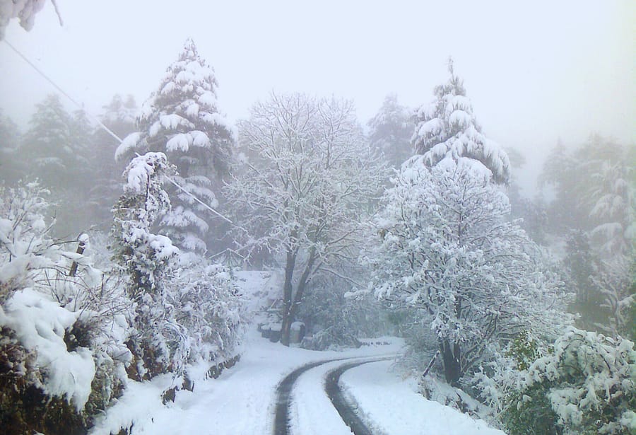 Amazing Trips - Dhanaulti